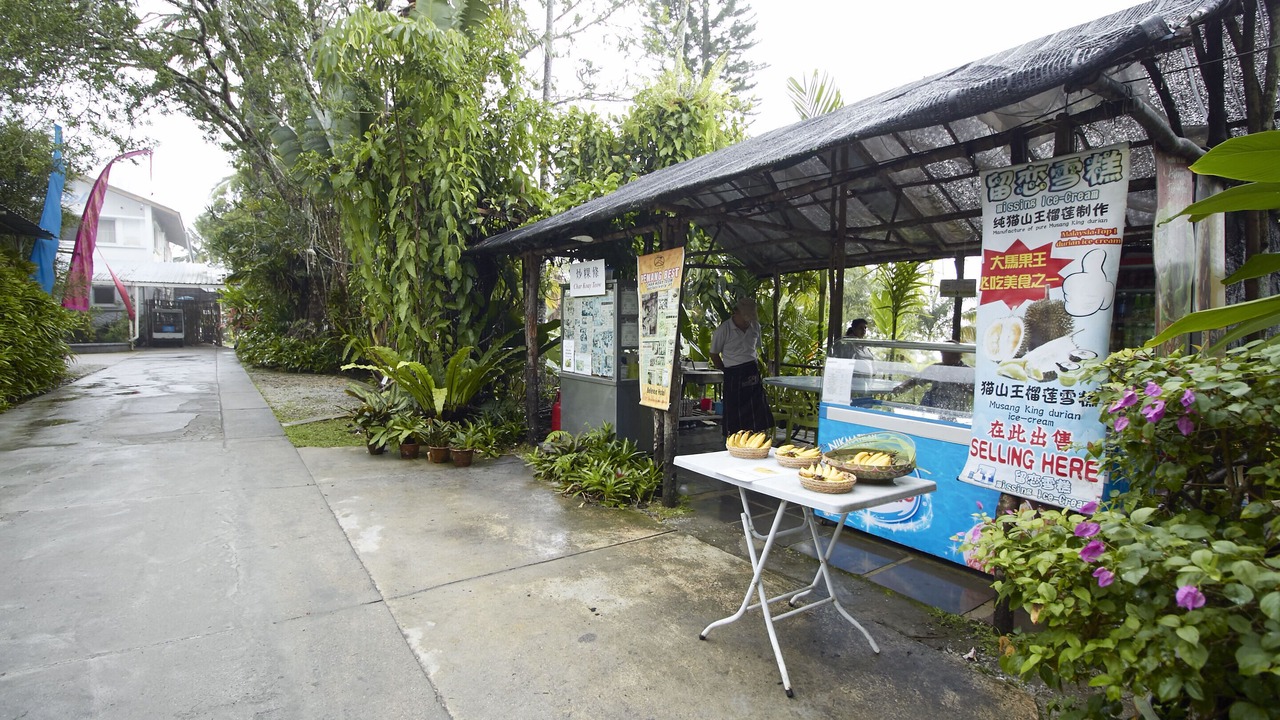 Photo of Outdoor in Bukit Bendera