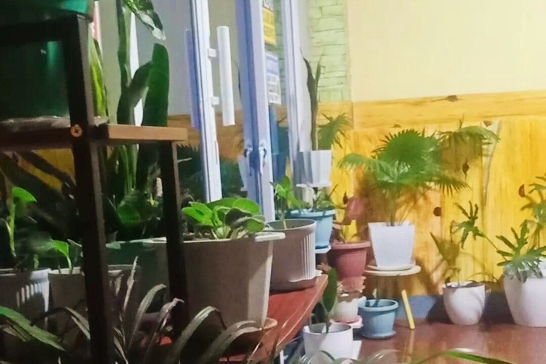 Photo of Others in Sagada