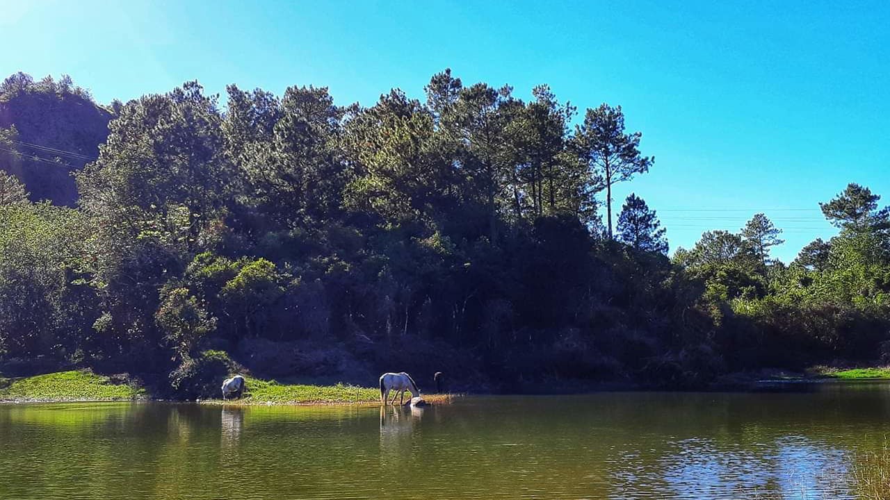 Photo of Others in Sagada