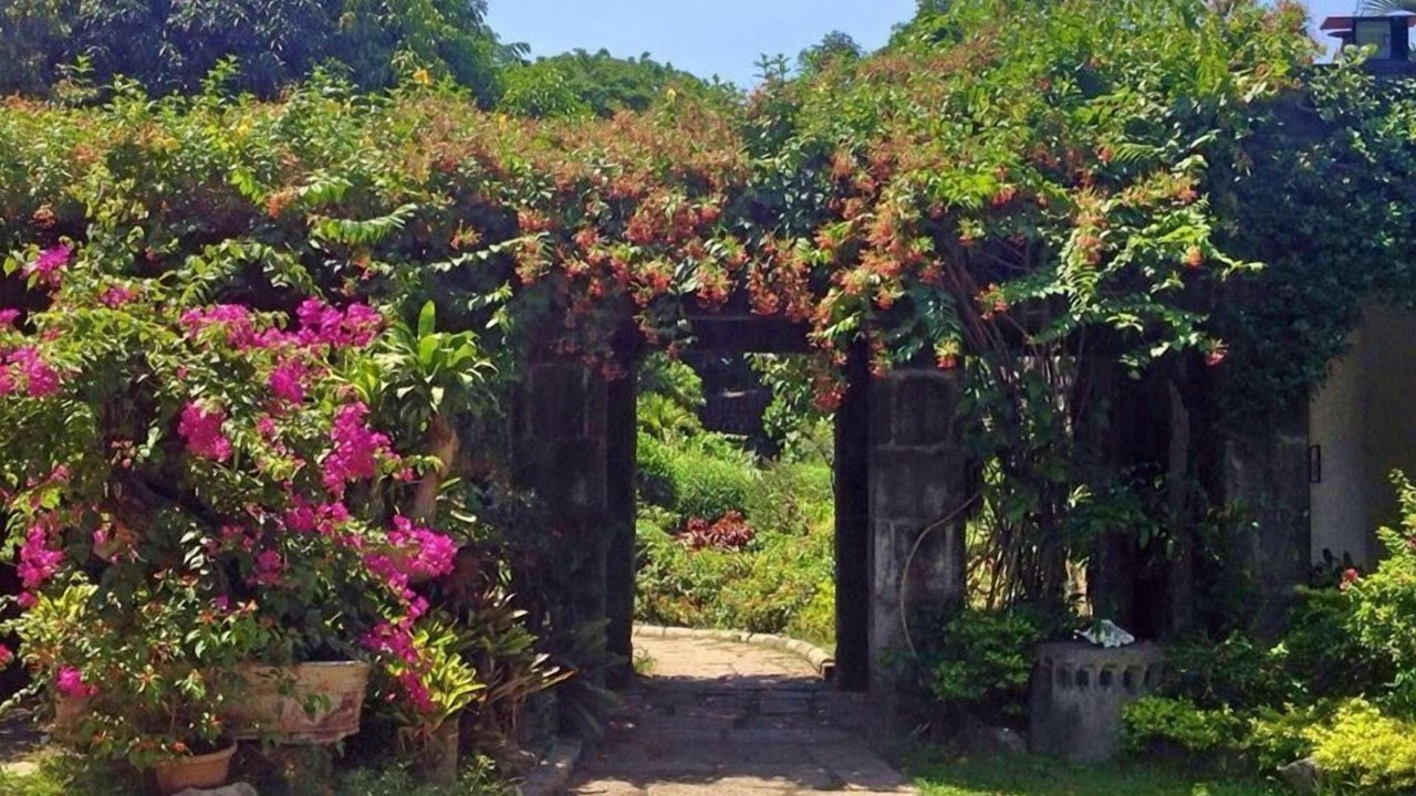 Photo of Outdoor in Paco