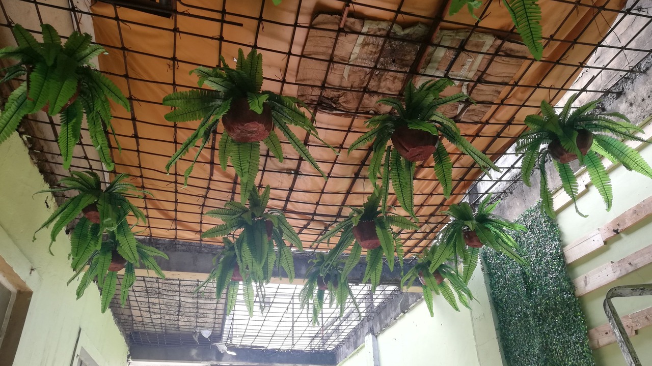 Photo of Outdoor in Paco