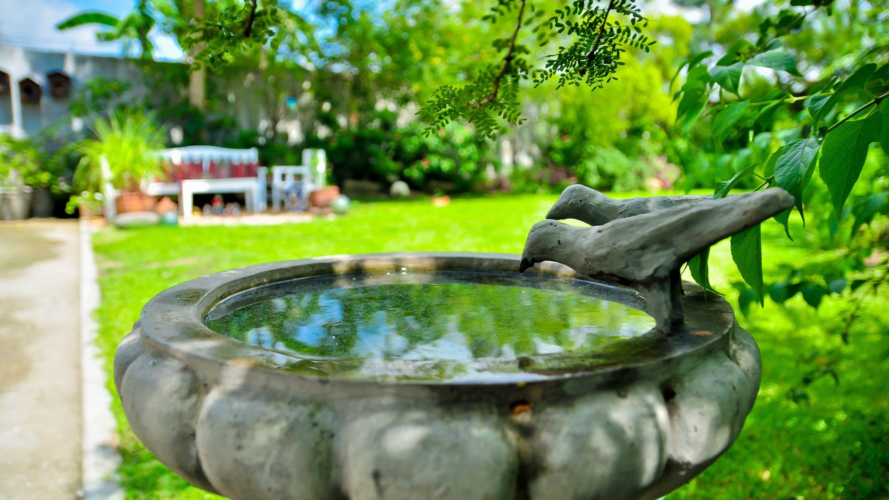Photo of Outdoor in Santa Rosa