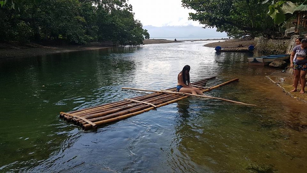 Photo of Others in Baler