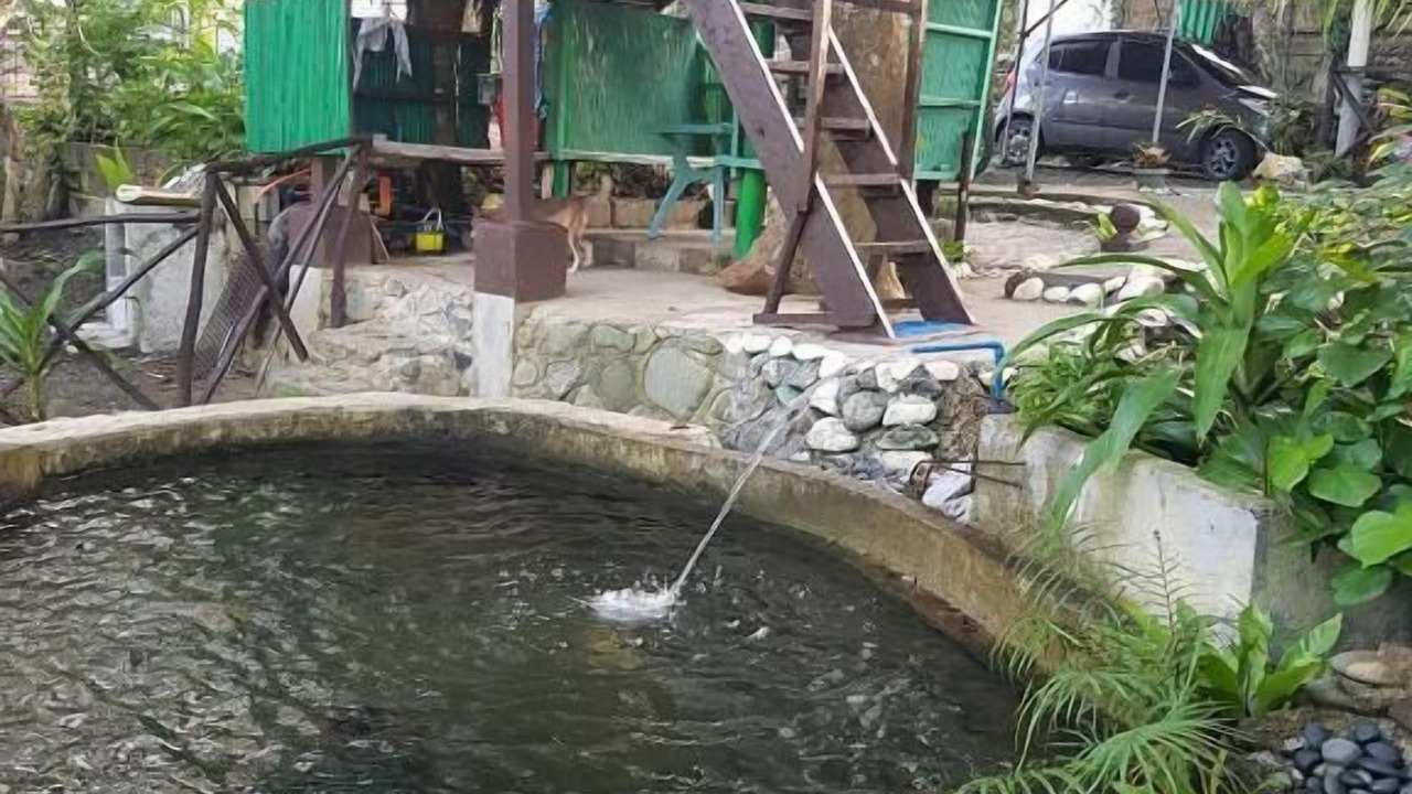 Photo of Outdoor in Baler