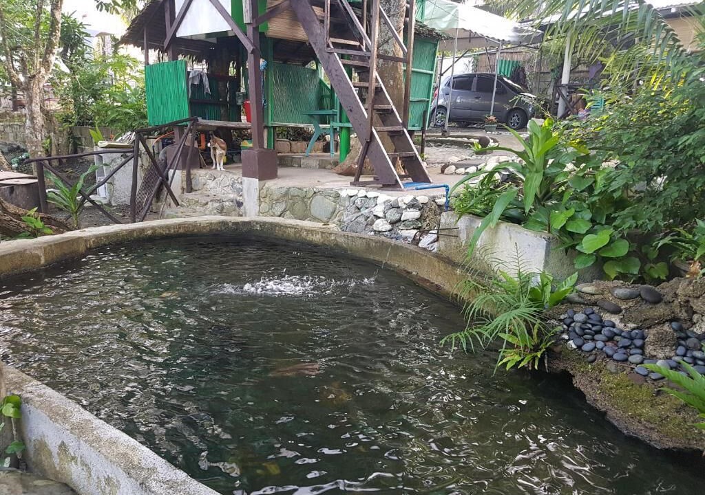 Photo of Outdoor in Baler