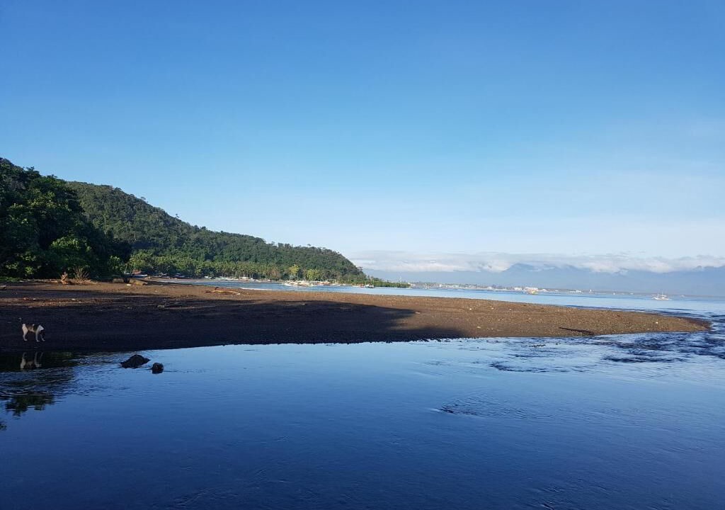Photo of Others in Baler