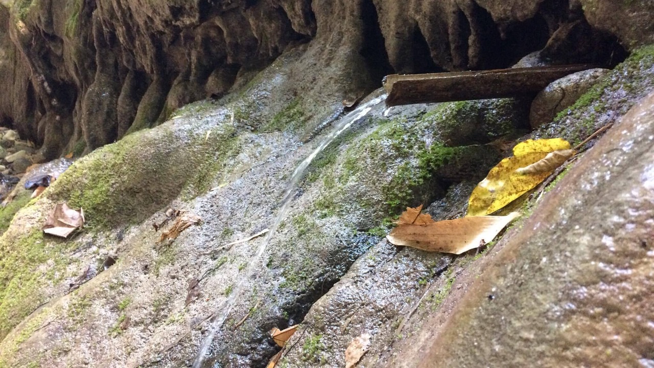 Photo of Outdoor in Samboan