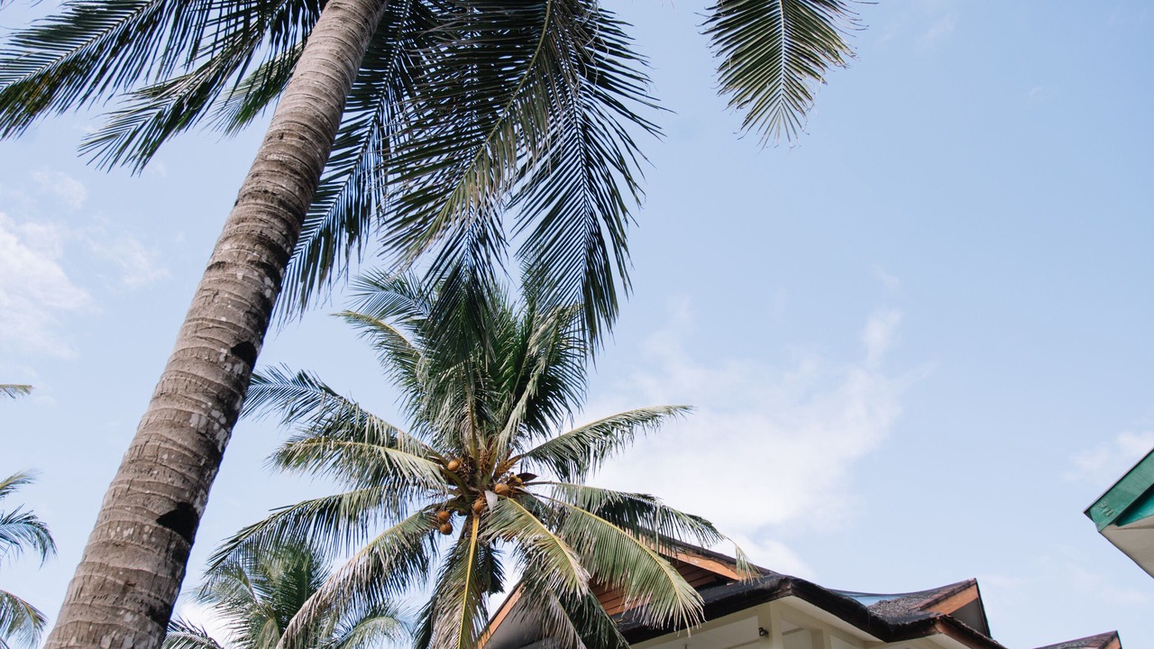 Photo of Outdoor in Lanas