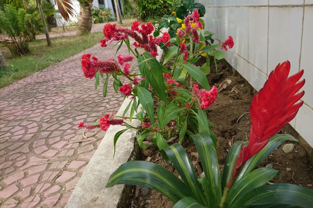 Photo of Outdoor in Rosales