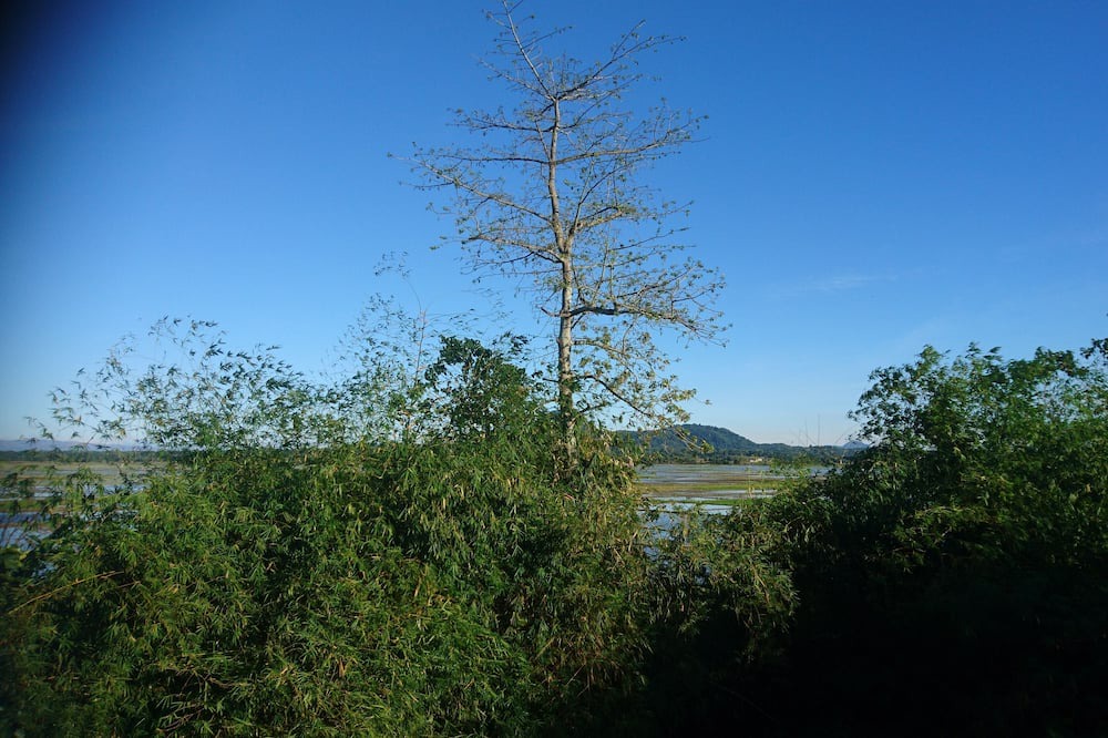 Photo of Outdoor in Rosales