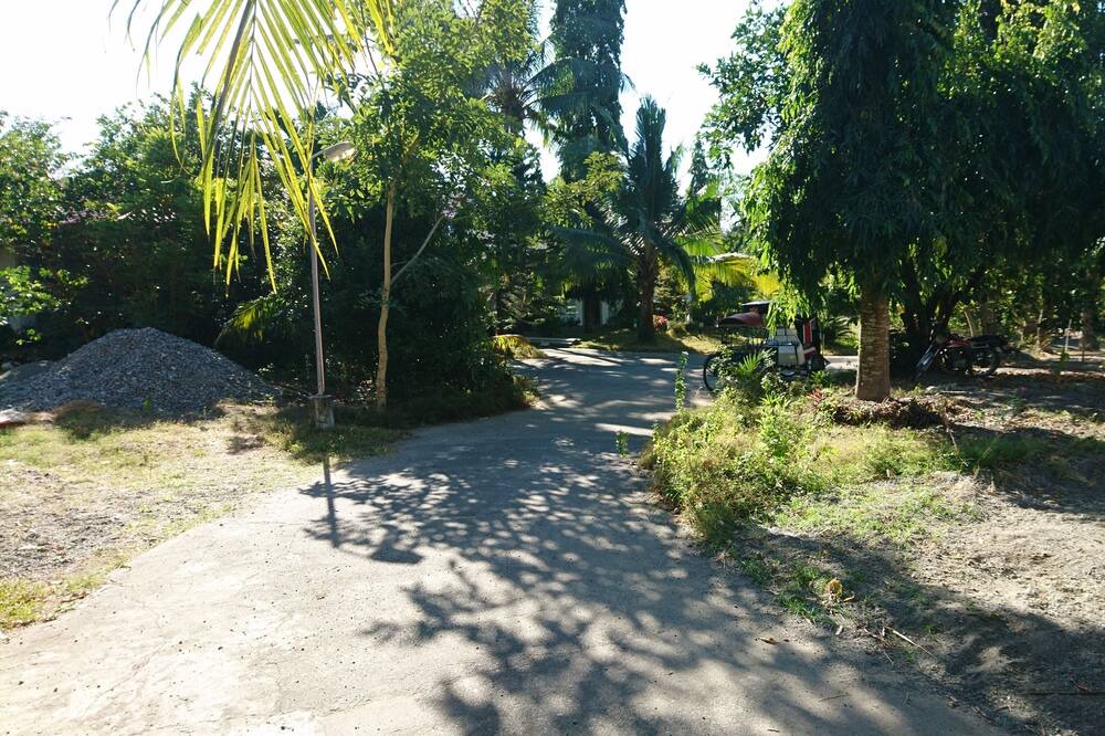 Photo of Others in Rosales