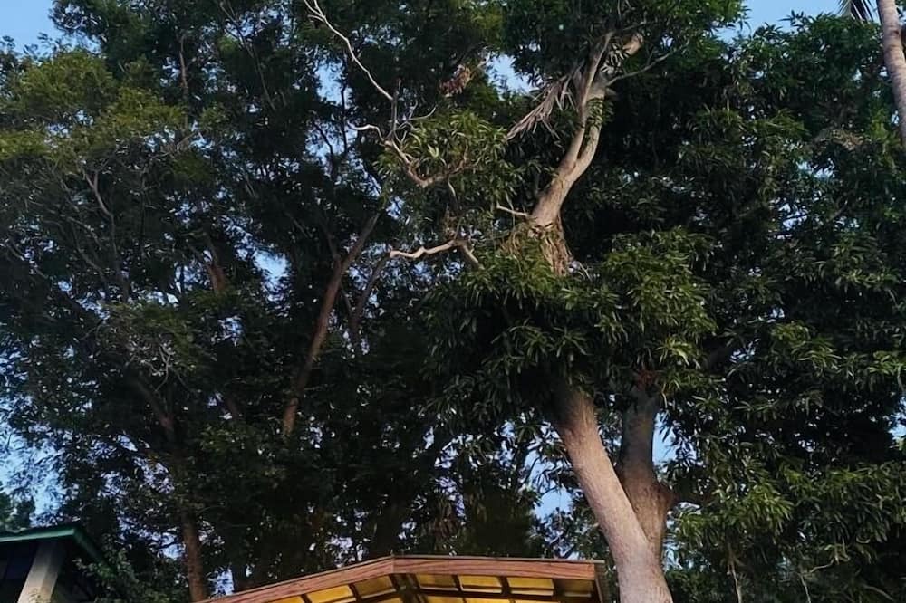 Photo of Outdoor in Anilao