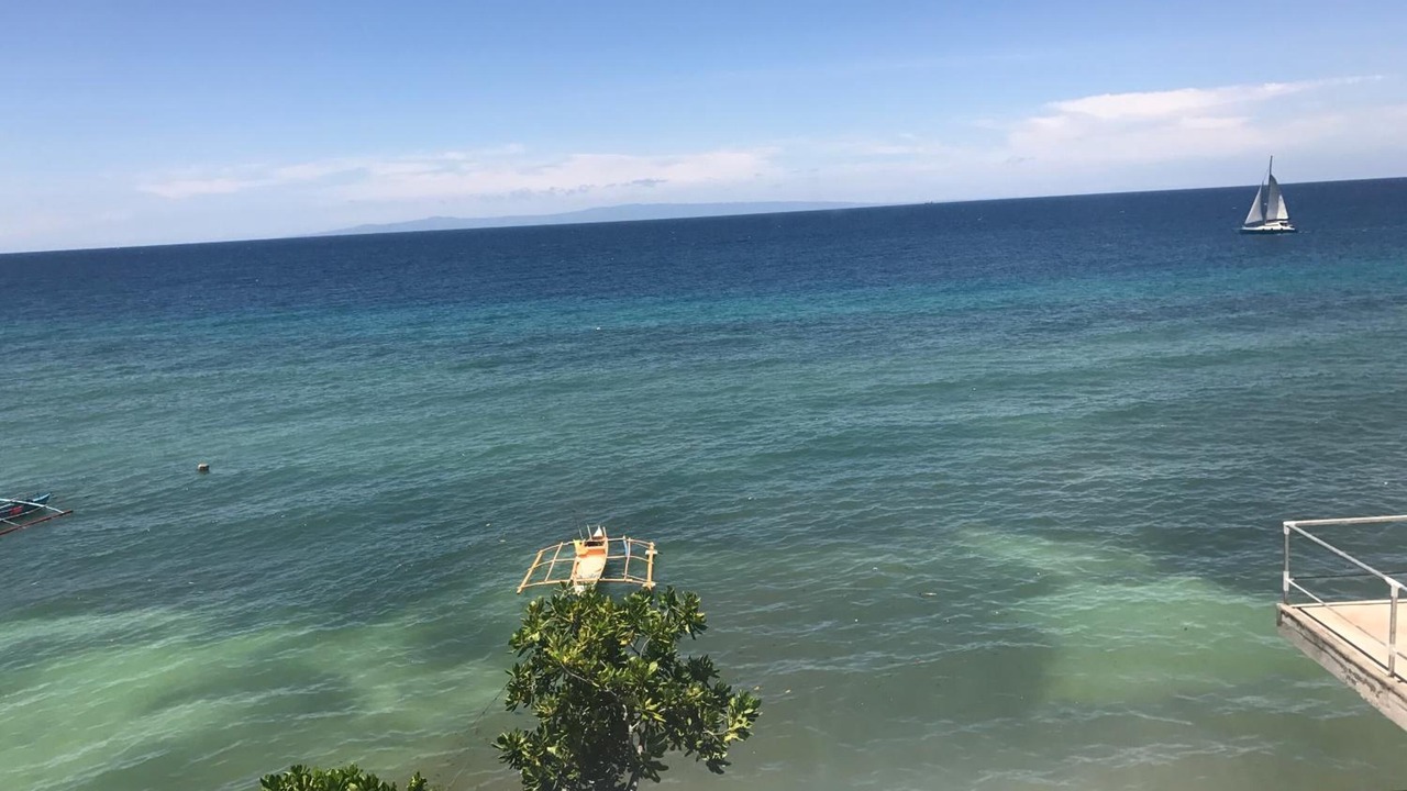 Photo of Others in Oslob