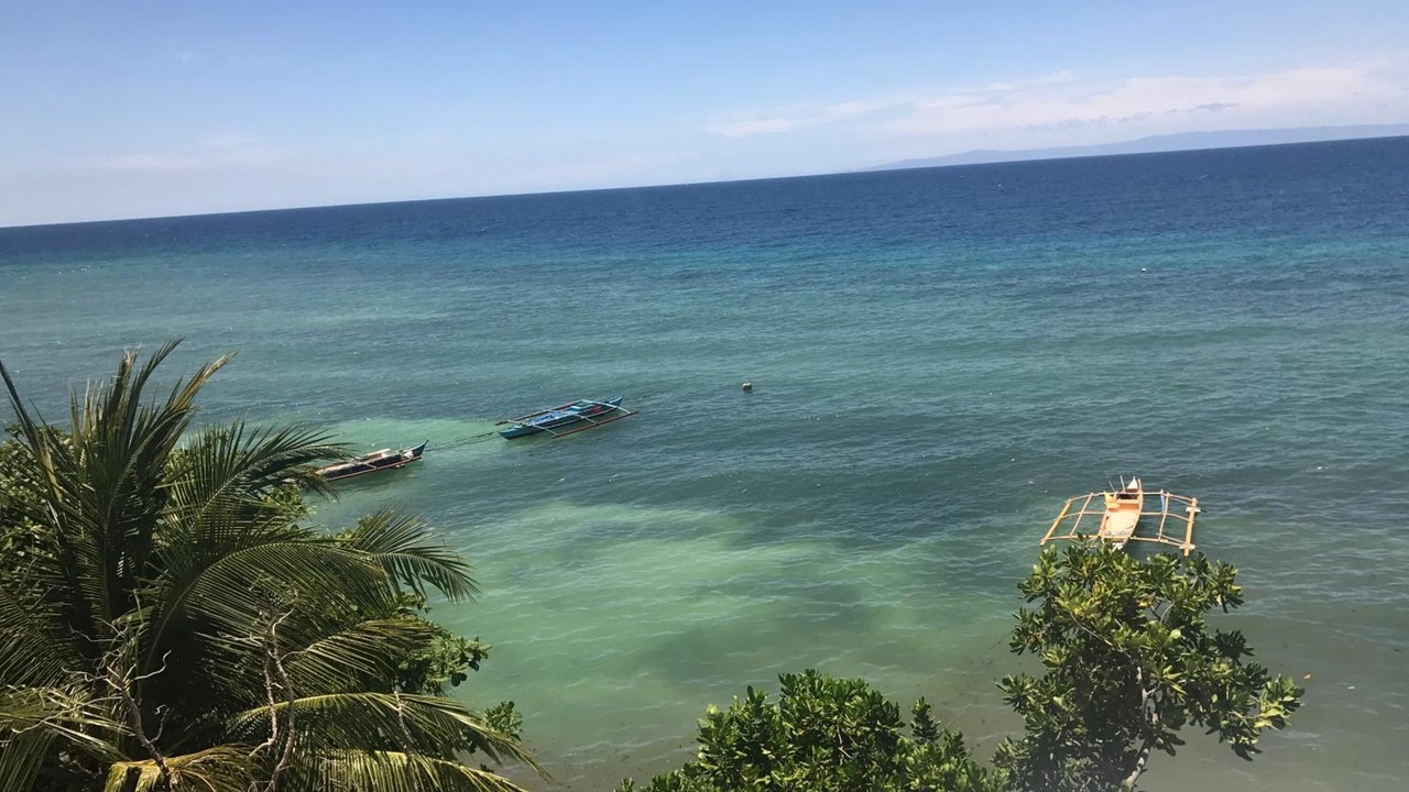 Photo of Others in Oslob