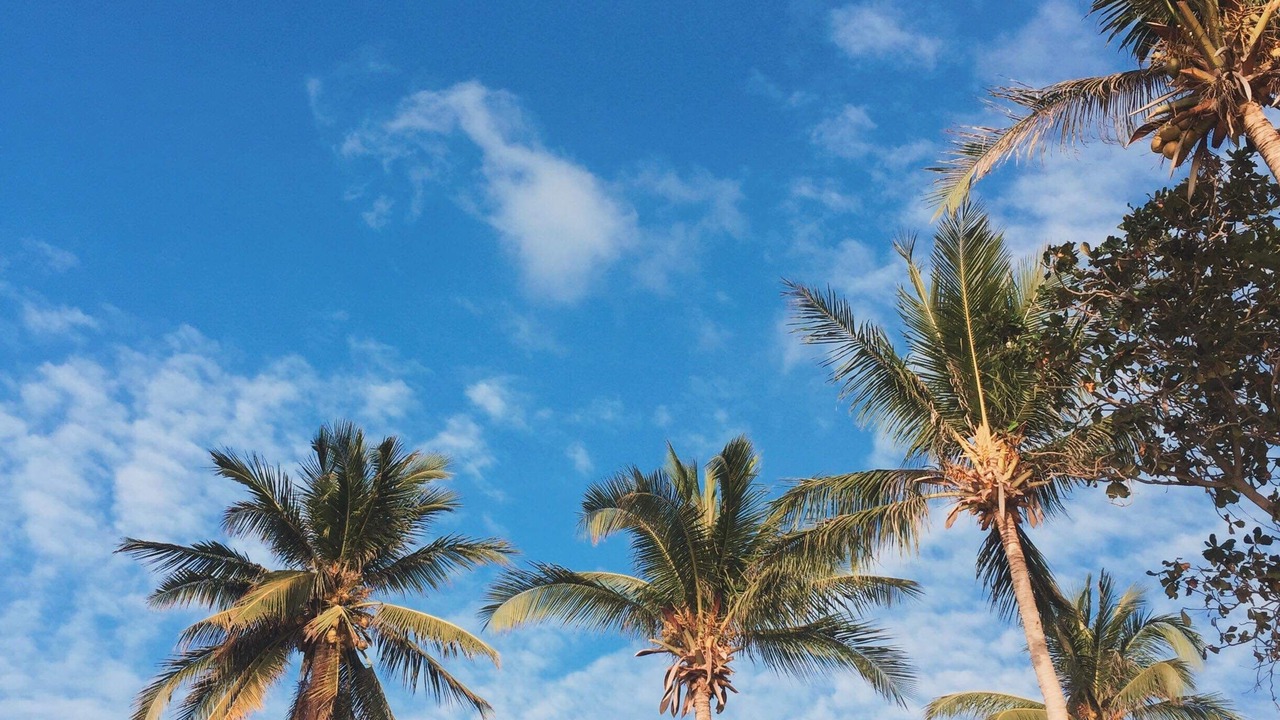 Photo of Outdoor in Bolinao