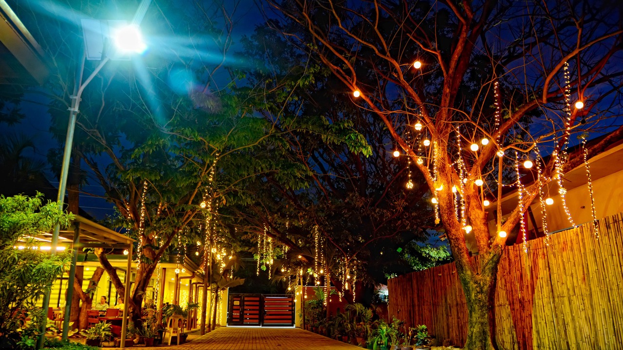 Photo of Outdoor in San Jose