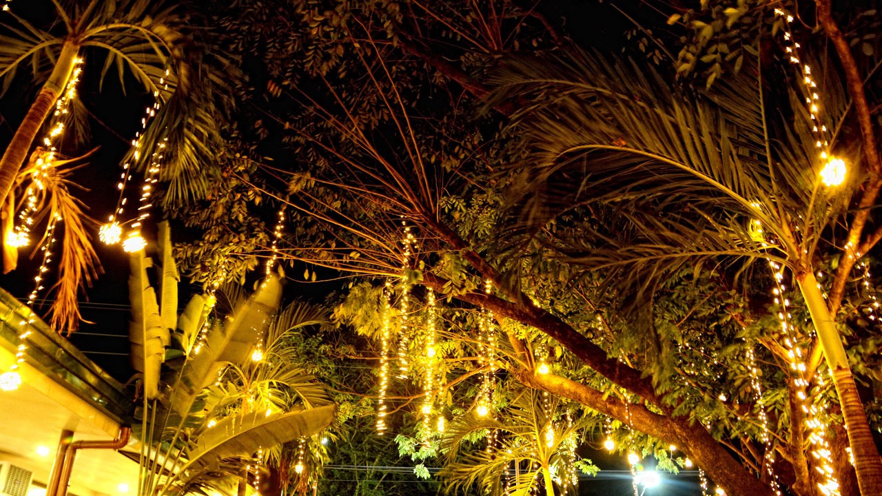 Photo of Outdoor in San Jose
