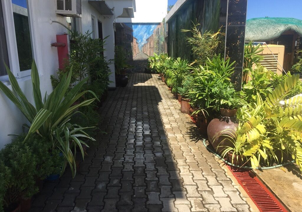 Photo of Outdoor in San Vicente