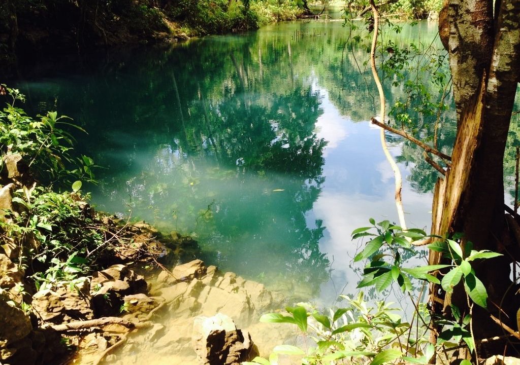 Photo of Outdoor in Pandan