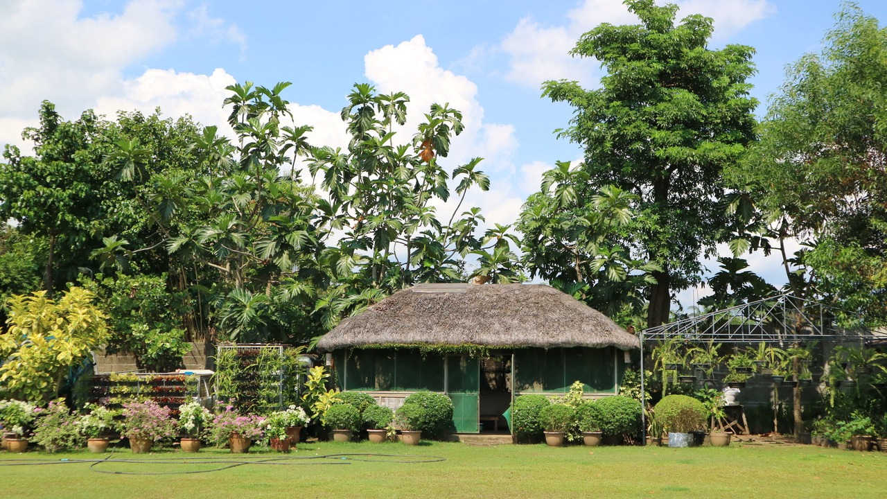 Photo of Outdoor in San Pablo