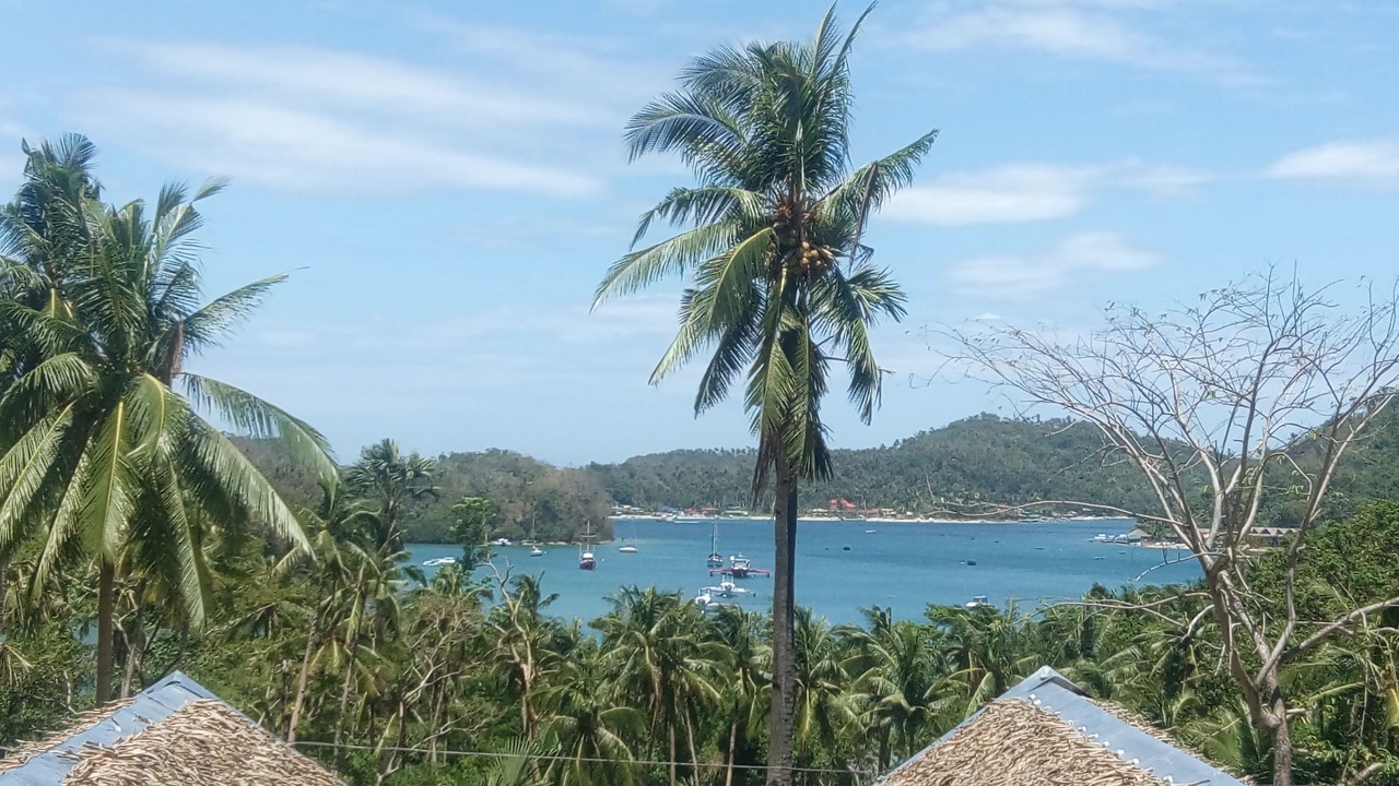 Photo of Others in Puerto Galera