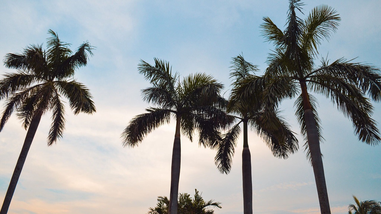 Photo of Outdoor in Tanza