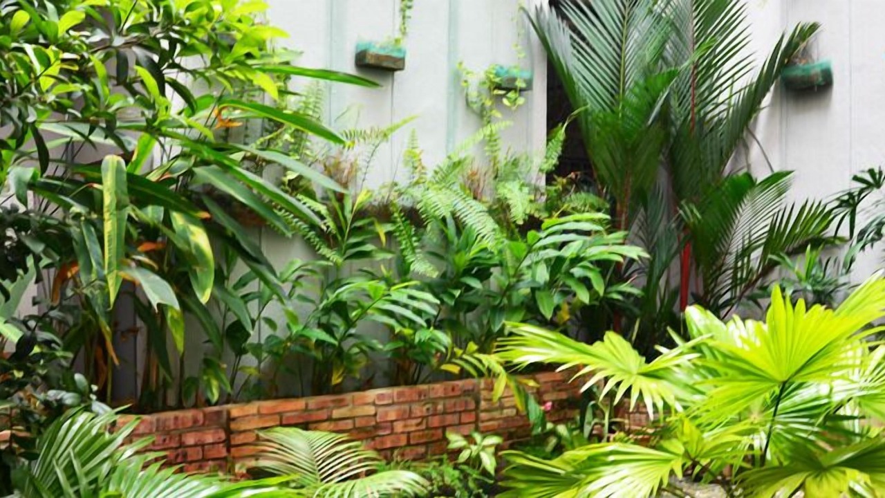 Photo of Outdoor in Taman Kota Laksamana