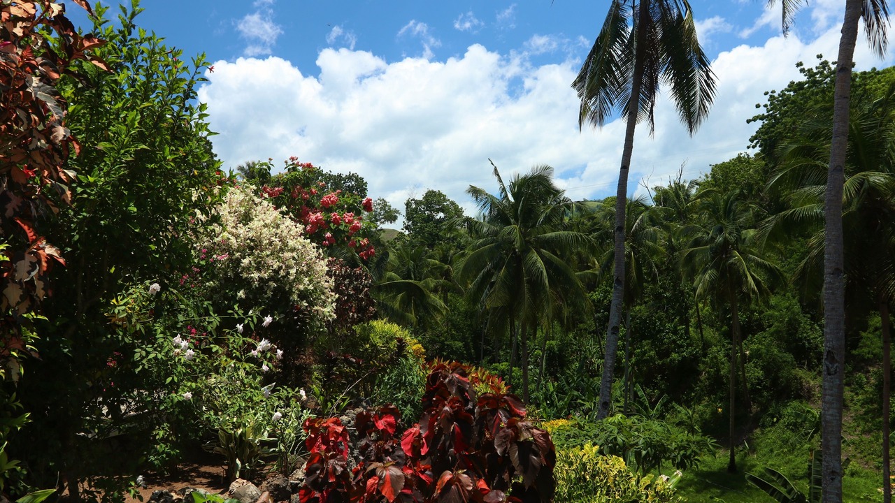 Photo of Outdoor in Guindulman
