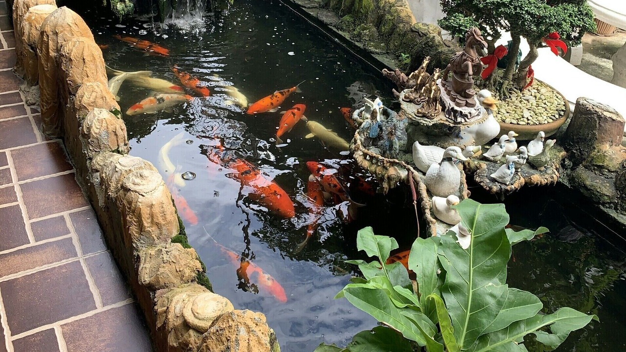 Photo of Outdoor in Lazi