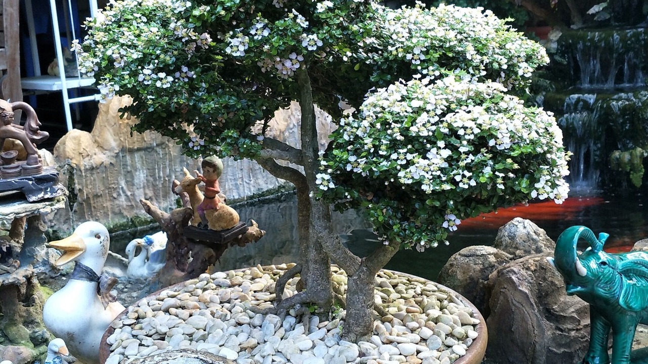 Photo of Outdoor in Lazi