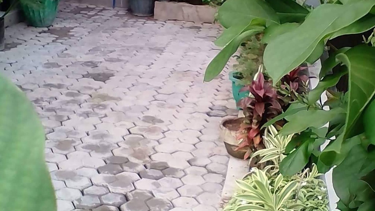 Photo of Outdoor in Davao