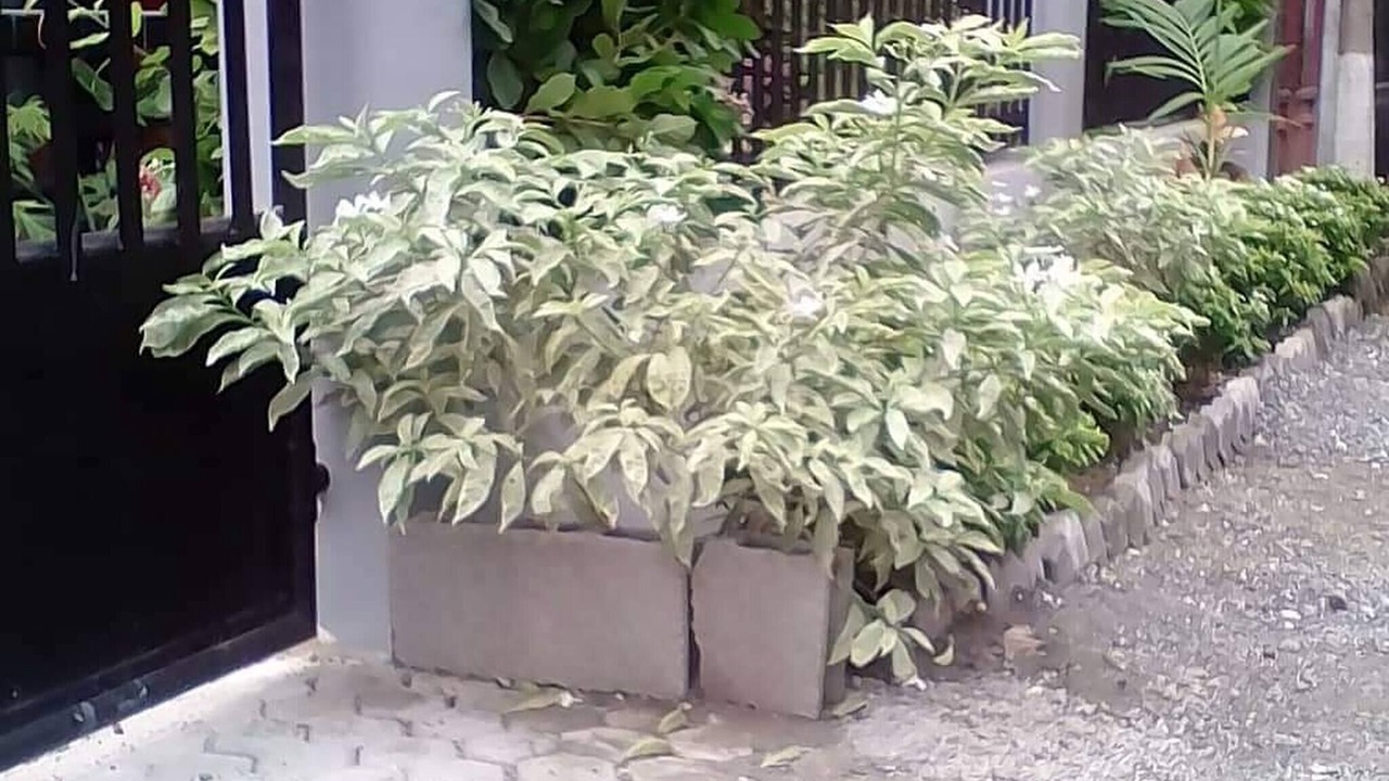 Photo of Outdoor in Davao