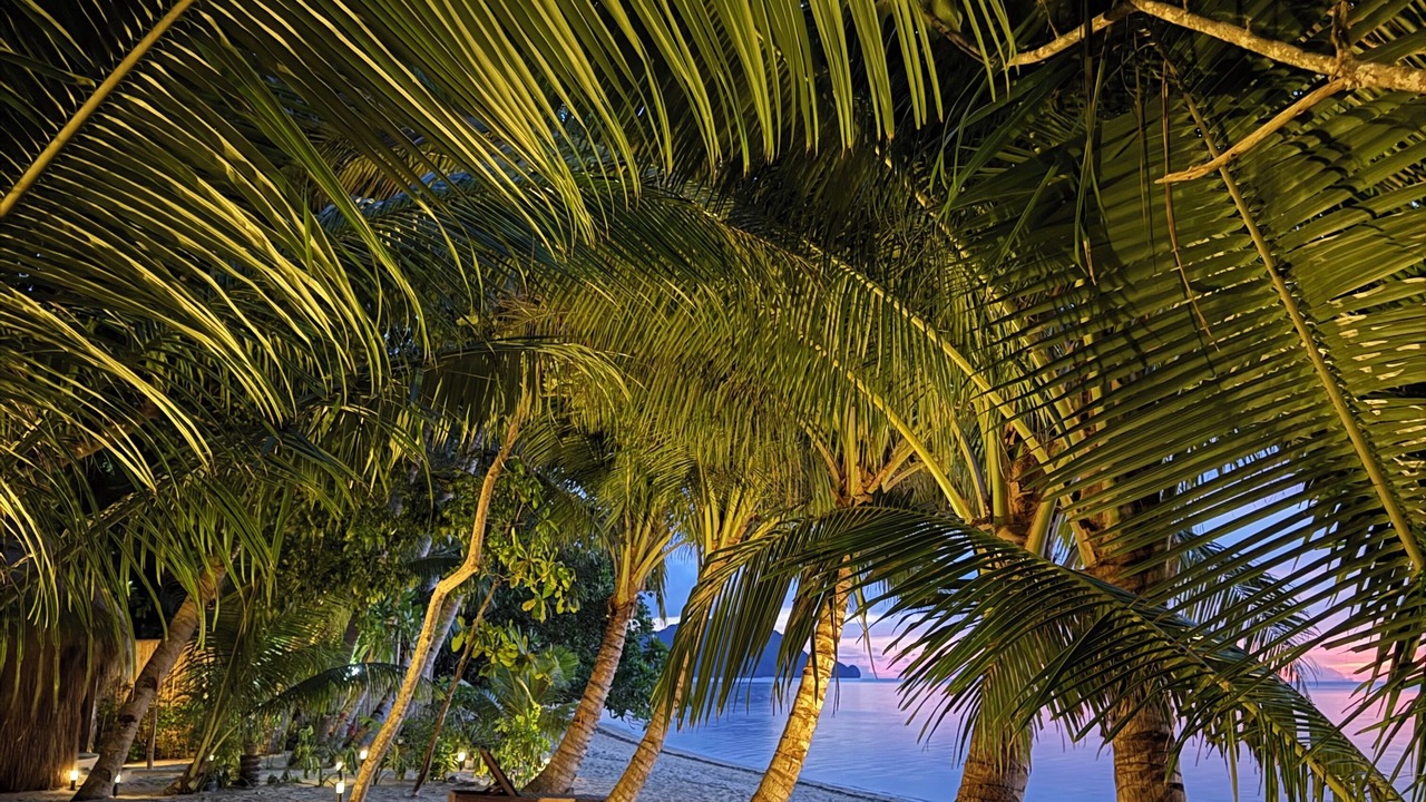 Photo of Outdoor in Busuanga