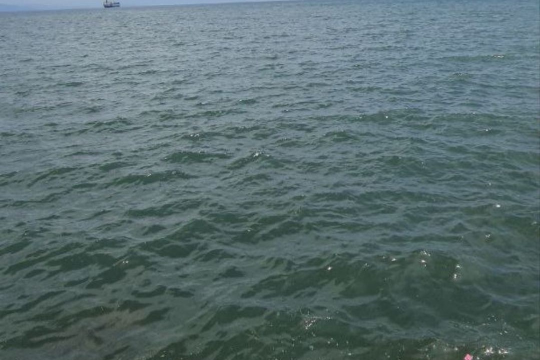 Photo of Others in Balayan