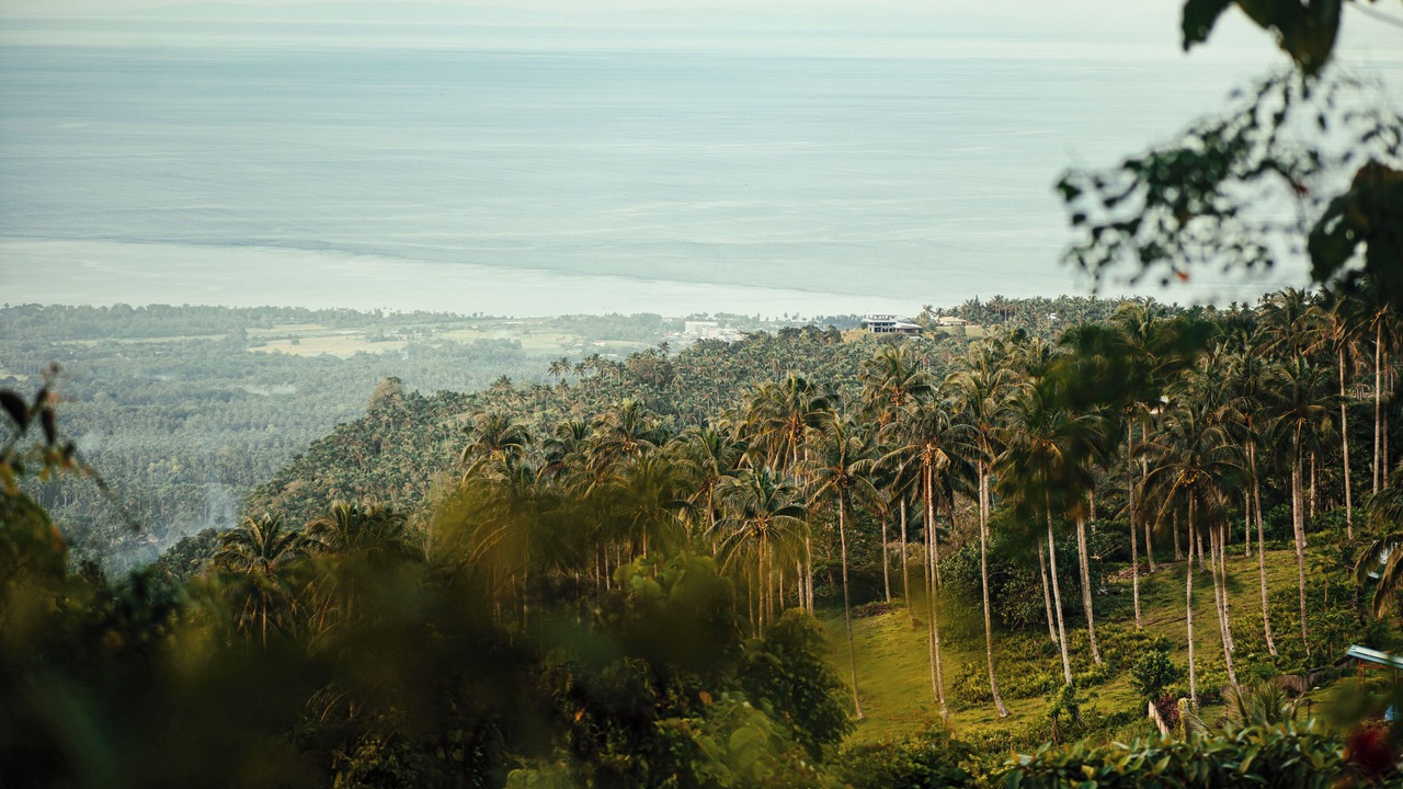 Photo of Outdoor in Mambajao