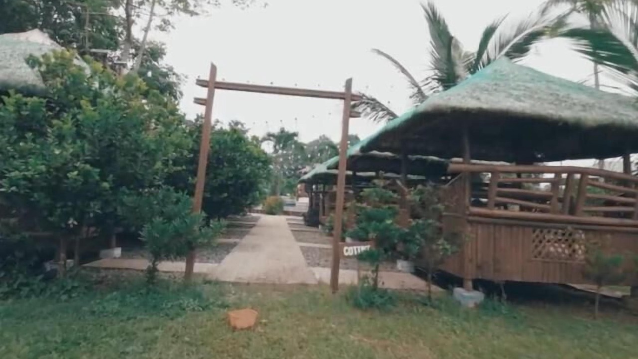 Photo of Outdoor in Alfonso