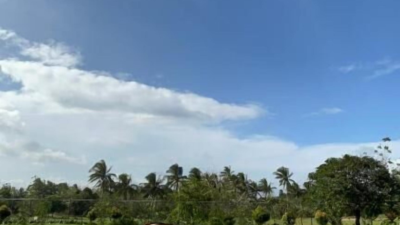 Photo of Outdoor in Alfonso