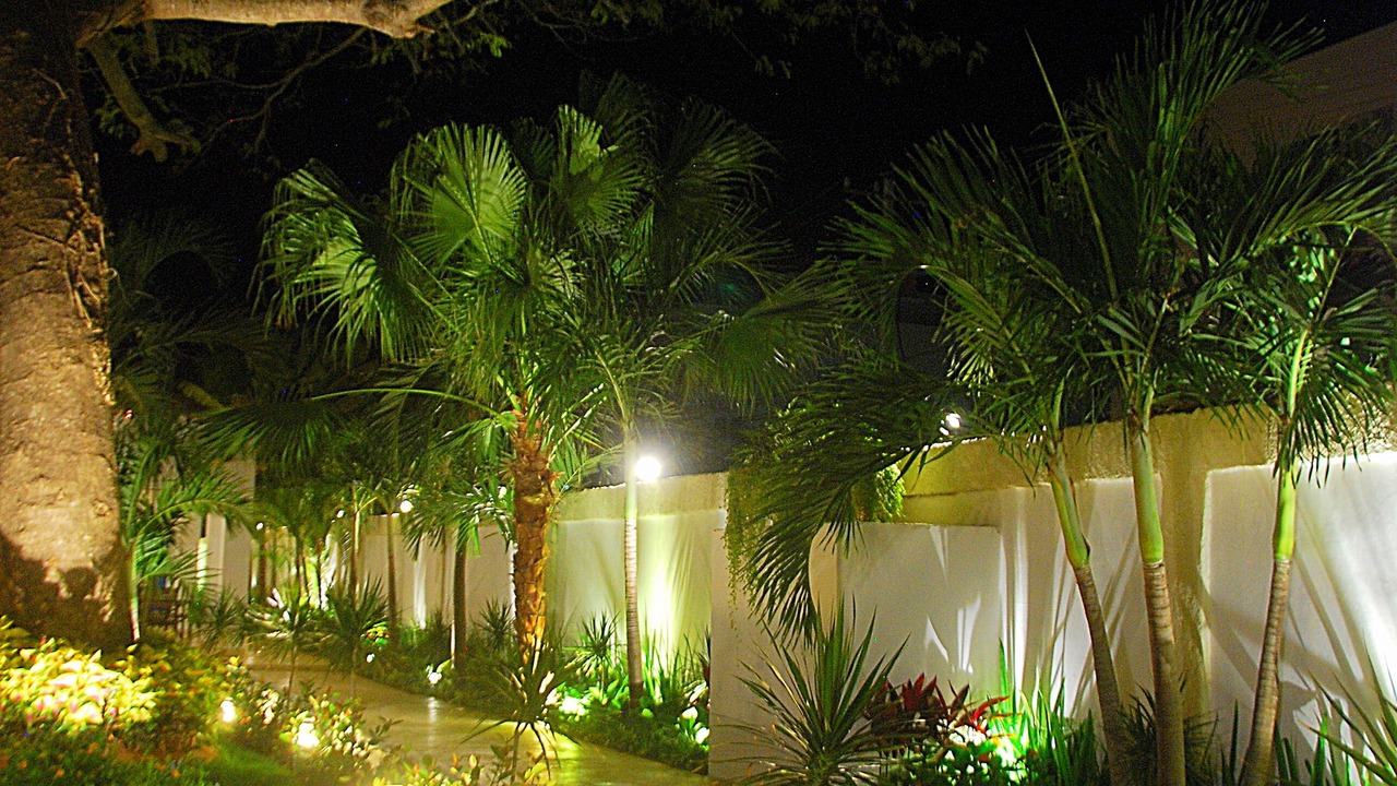 Photo of Outdoor in La Romana