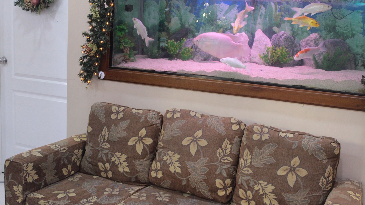 Photo of Others in Olongapo