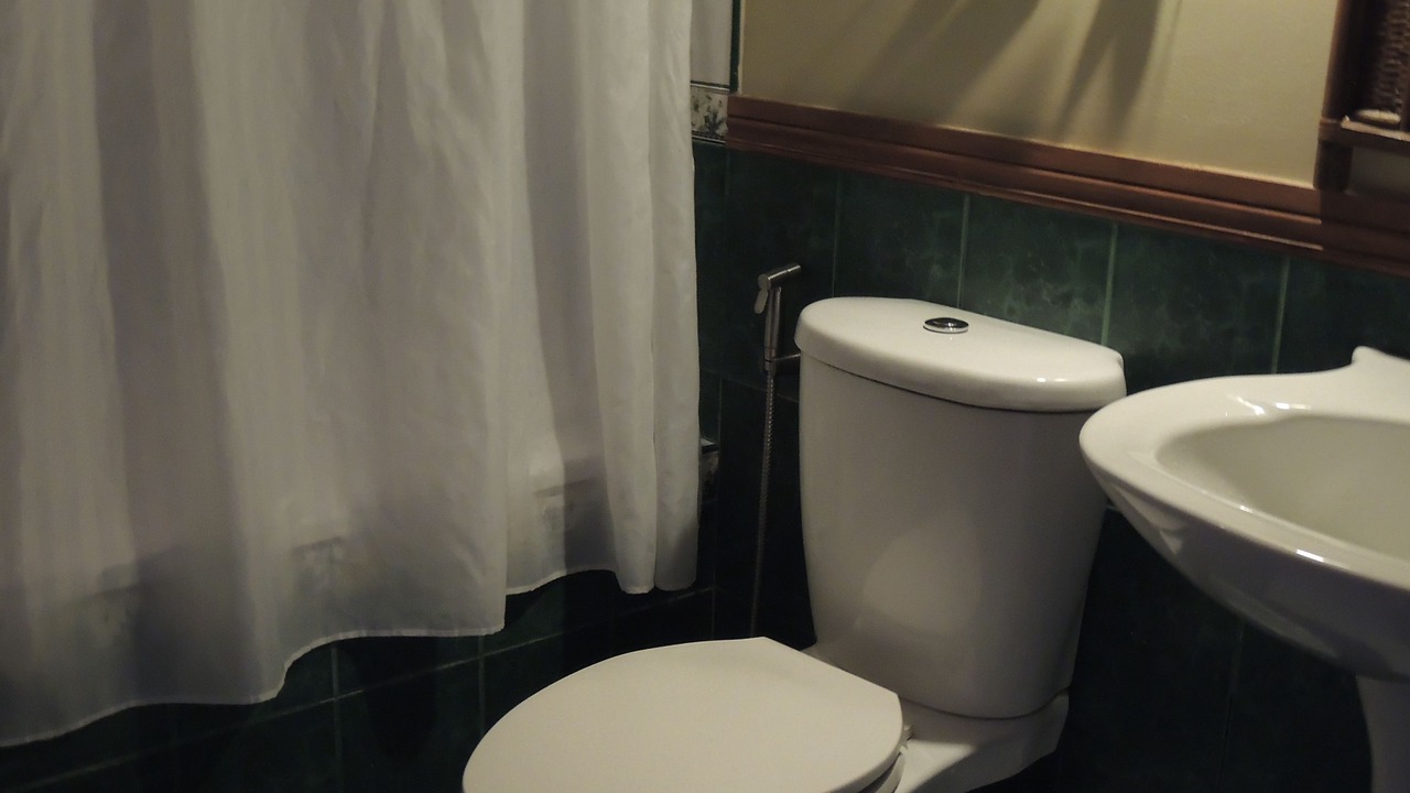 Photo of Bathroom in Danao City