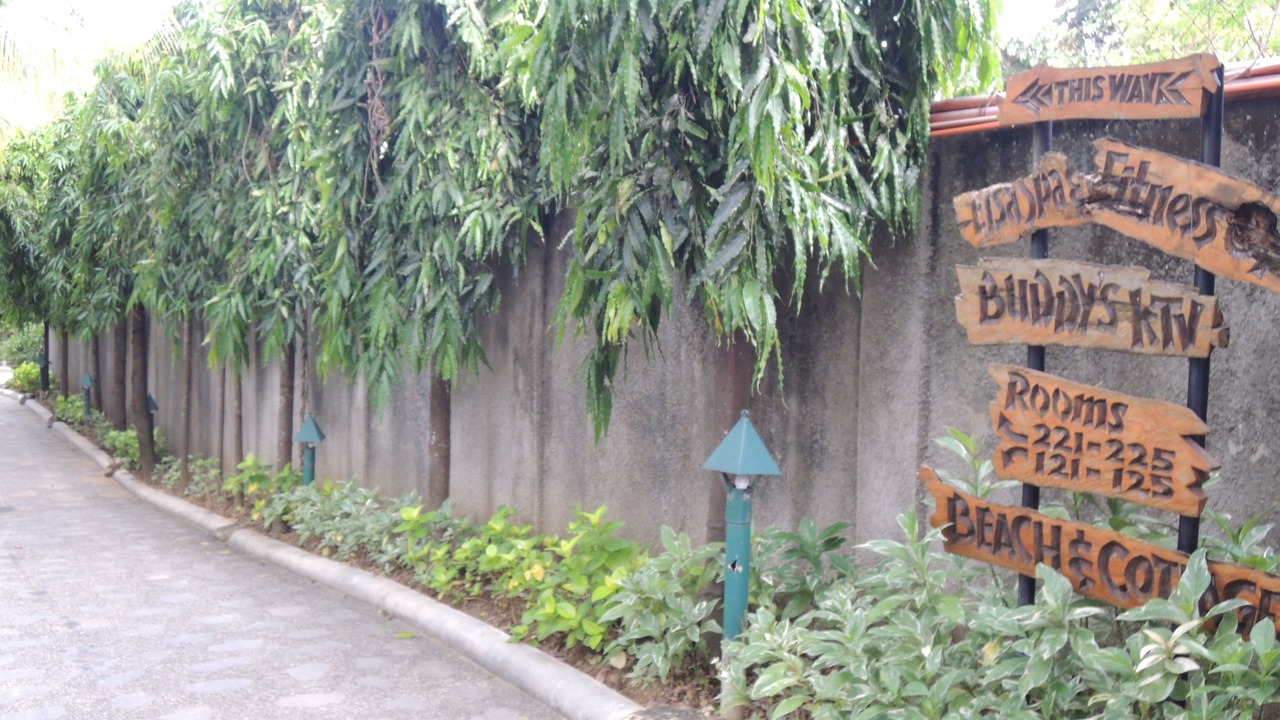 Photo of Outdoor in Danao City