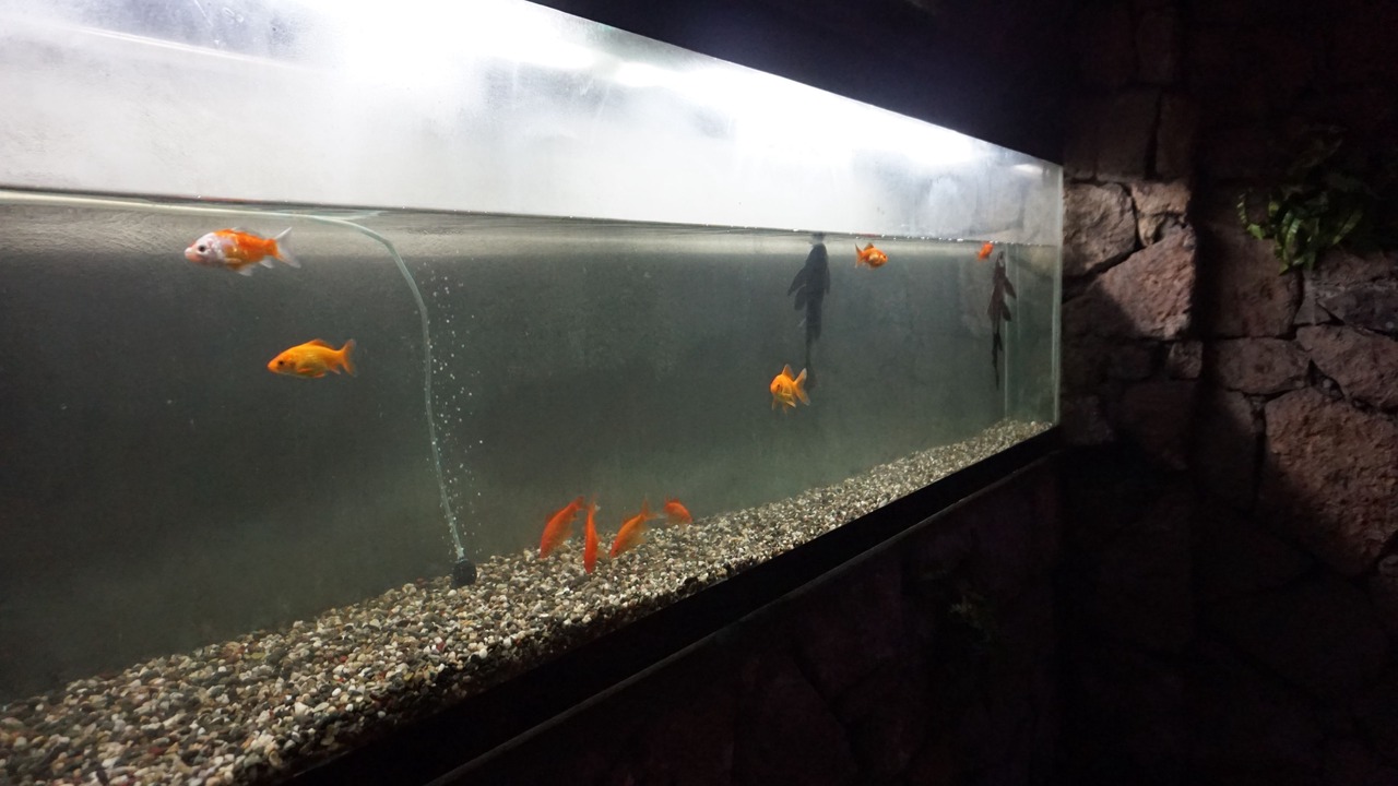 Photo of Others in Santa Cruz