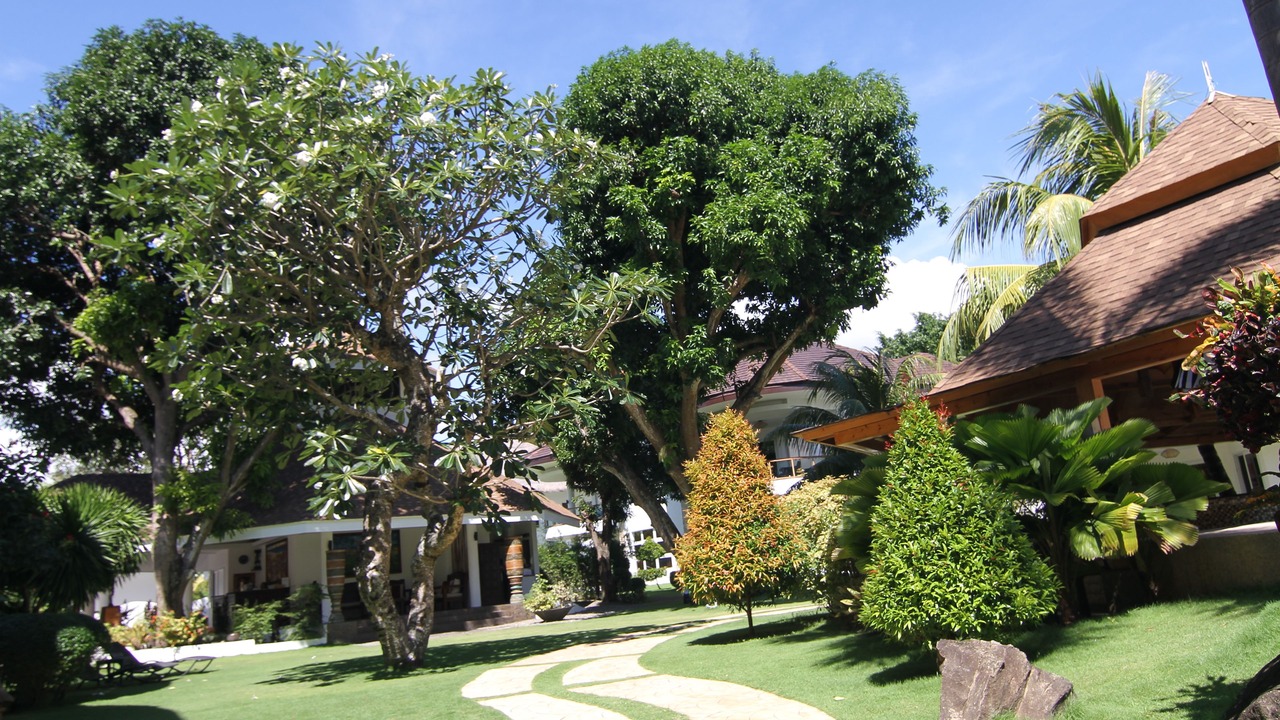 Photo of Outdoor in Dauin