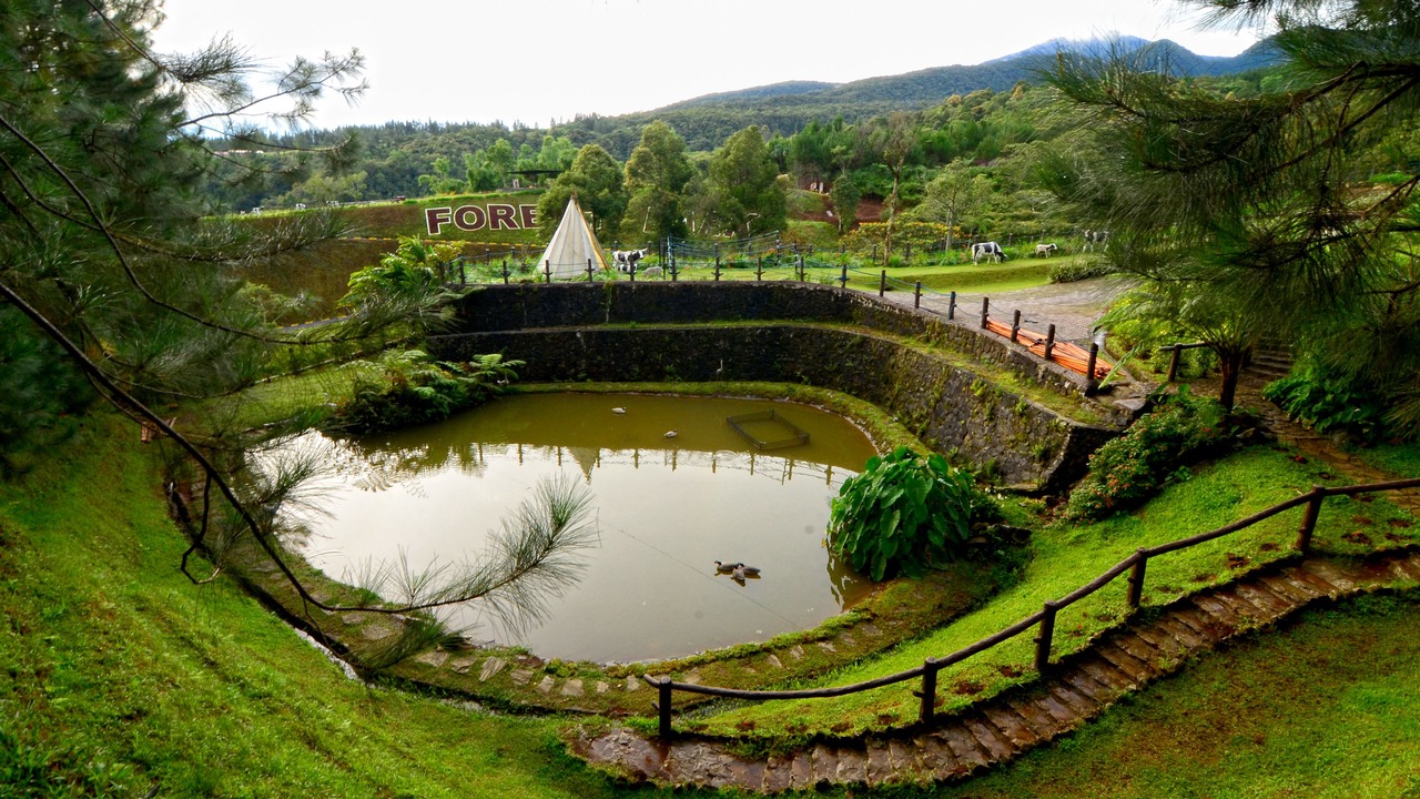 Photo of Outdoor in Burgos