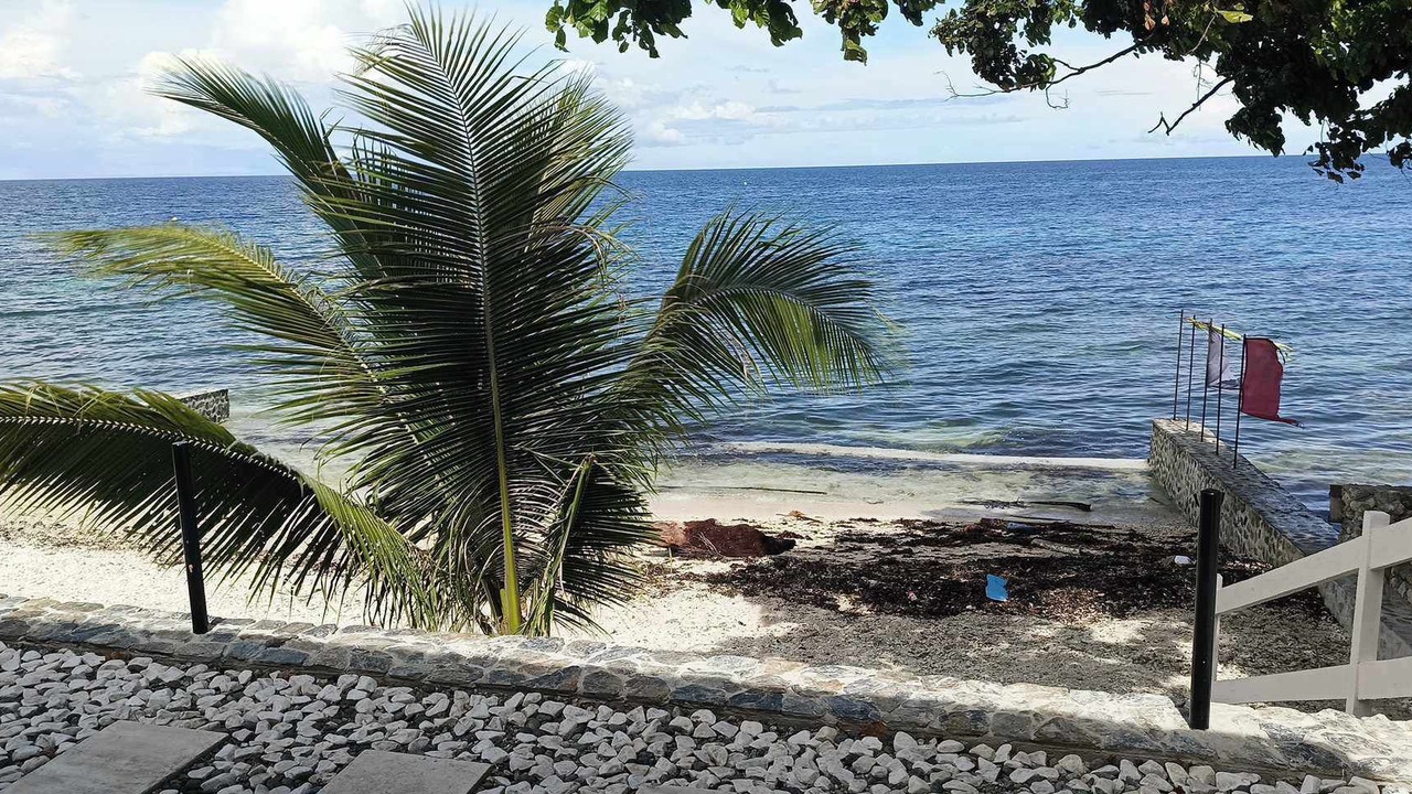 Photo of Others in Oslob