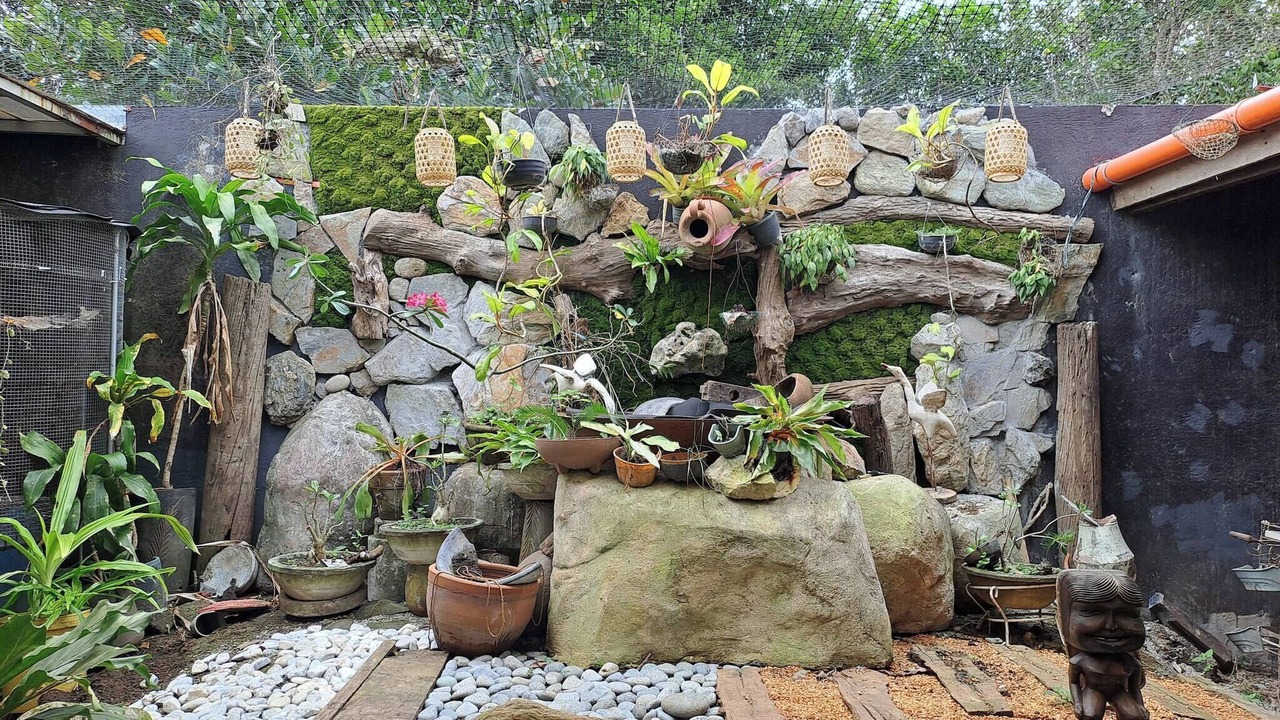 Photo of Outdoor in Anilao