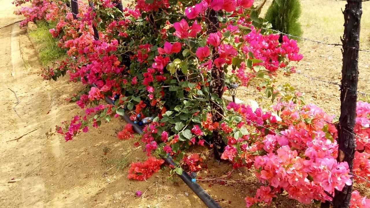 Photo of Outdoor in San Jose de Ocoa