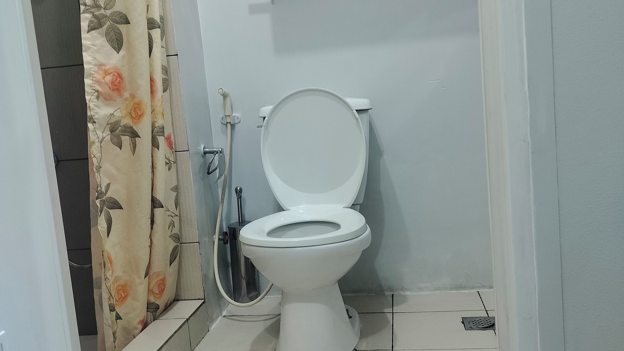 Photo of Bathroom in South Triangle