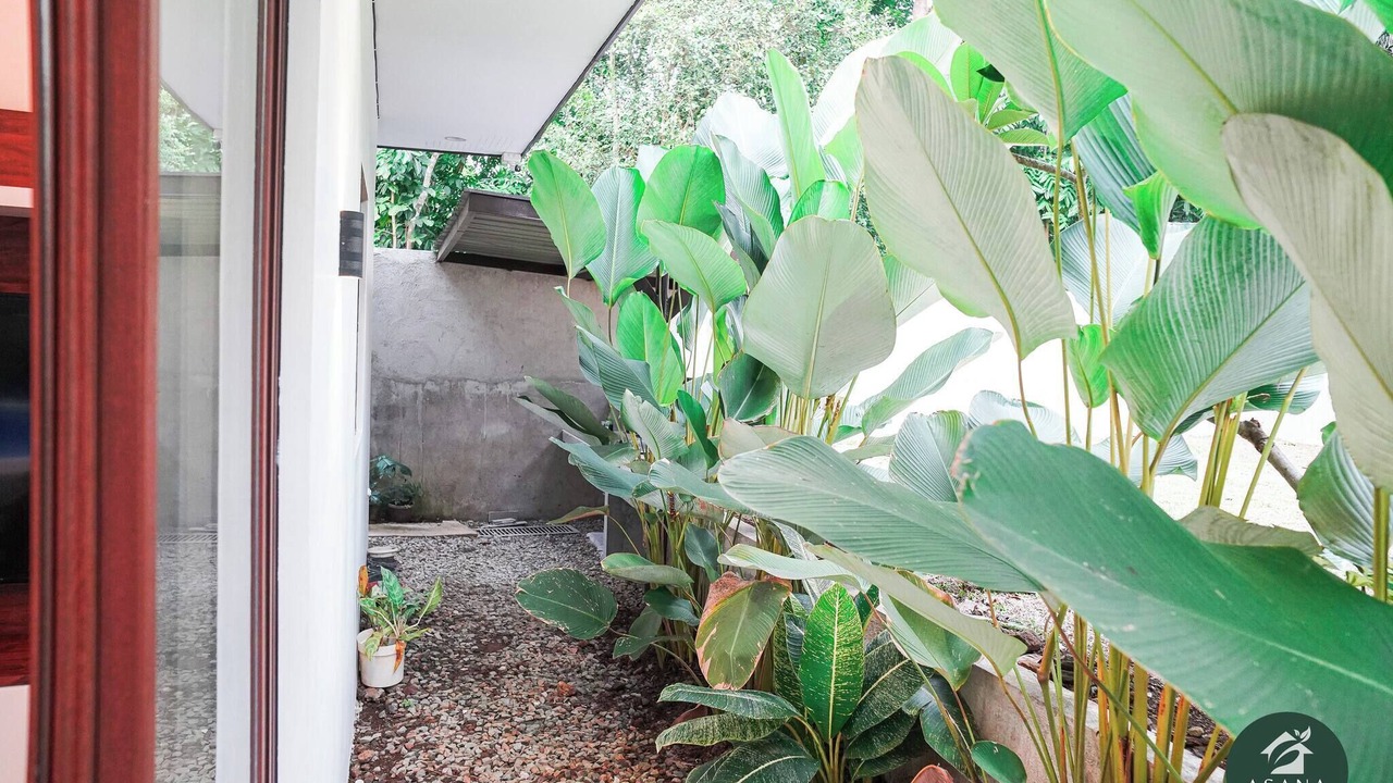 Photo of Outdoor in Amadeo