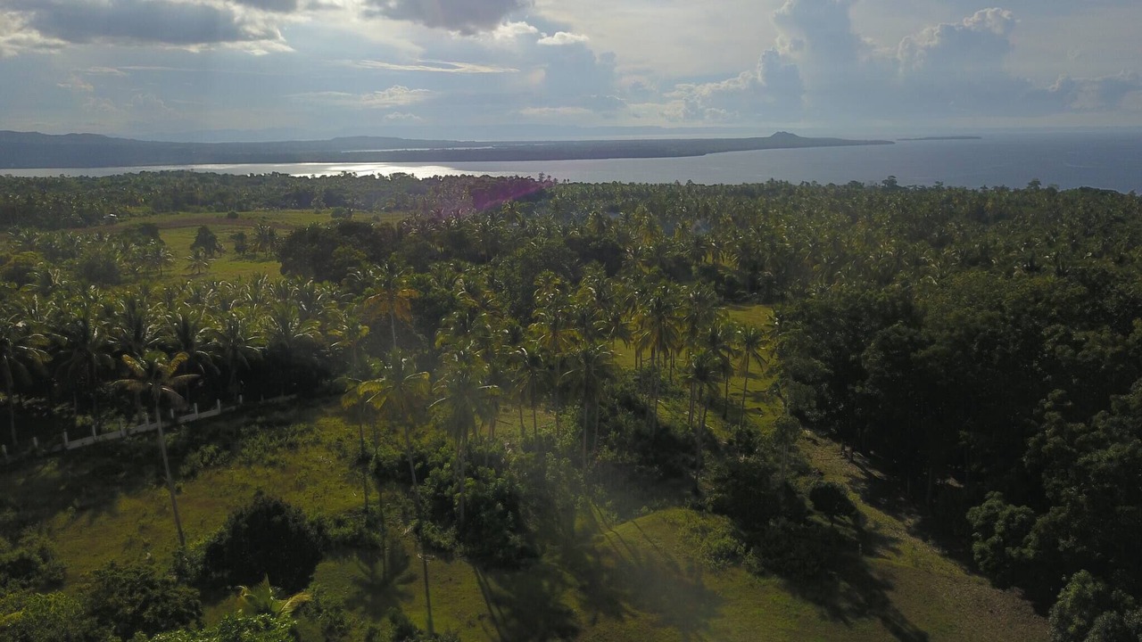 Photo of Outdoor in Poro